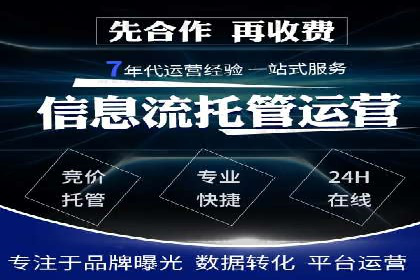 百度广告投放策略与效果评估案例